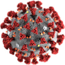 È online “Sars-CoV-2: Frontiere della ricerca” il portale sul Coronavirus