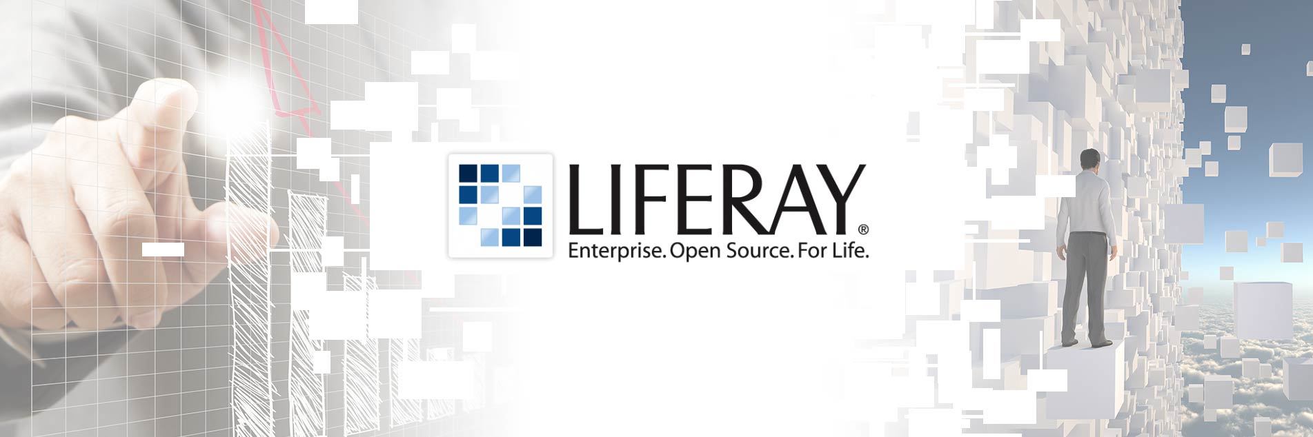 Liferay cerca nuovi partner